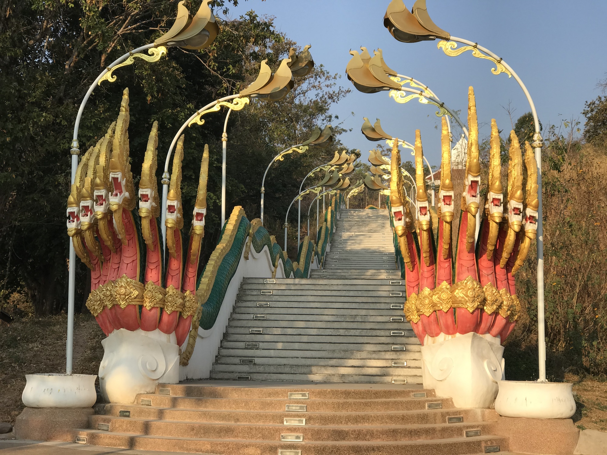 The Gong Highway Unmettled Roads CycleBlaze