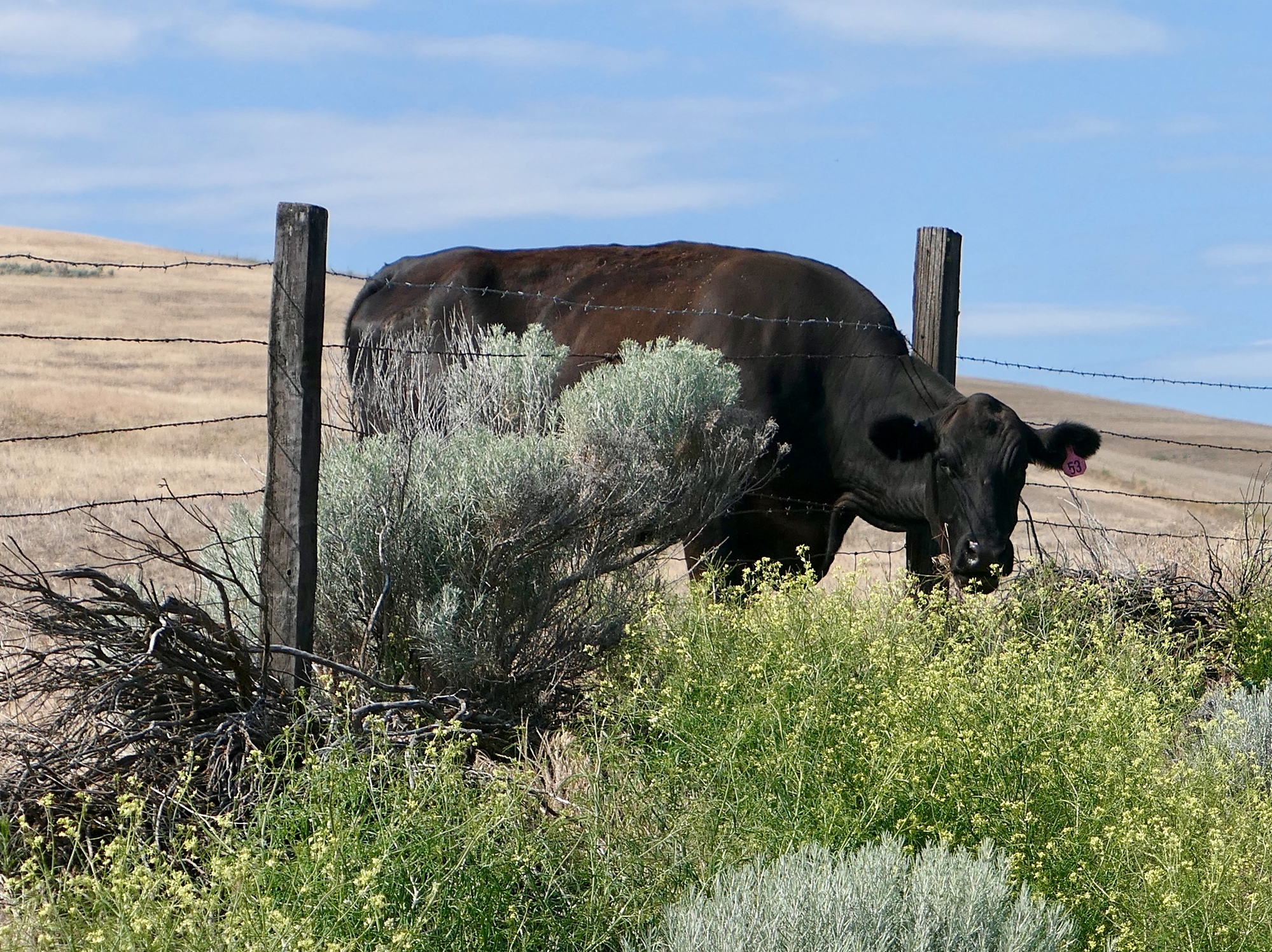 A weekend in Dufur Dufur Valley Road Northwest Passages Victoria to