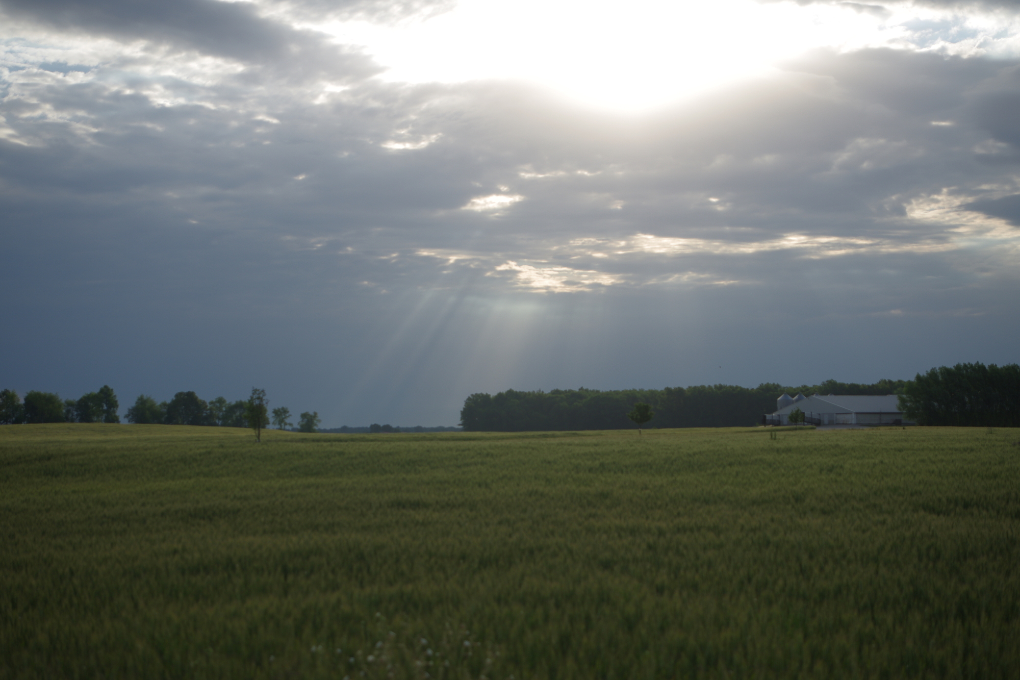 Day 30 Dream Acres Campground to Ashkum, IL City Park Seeking a