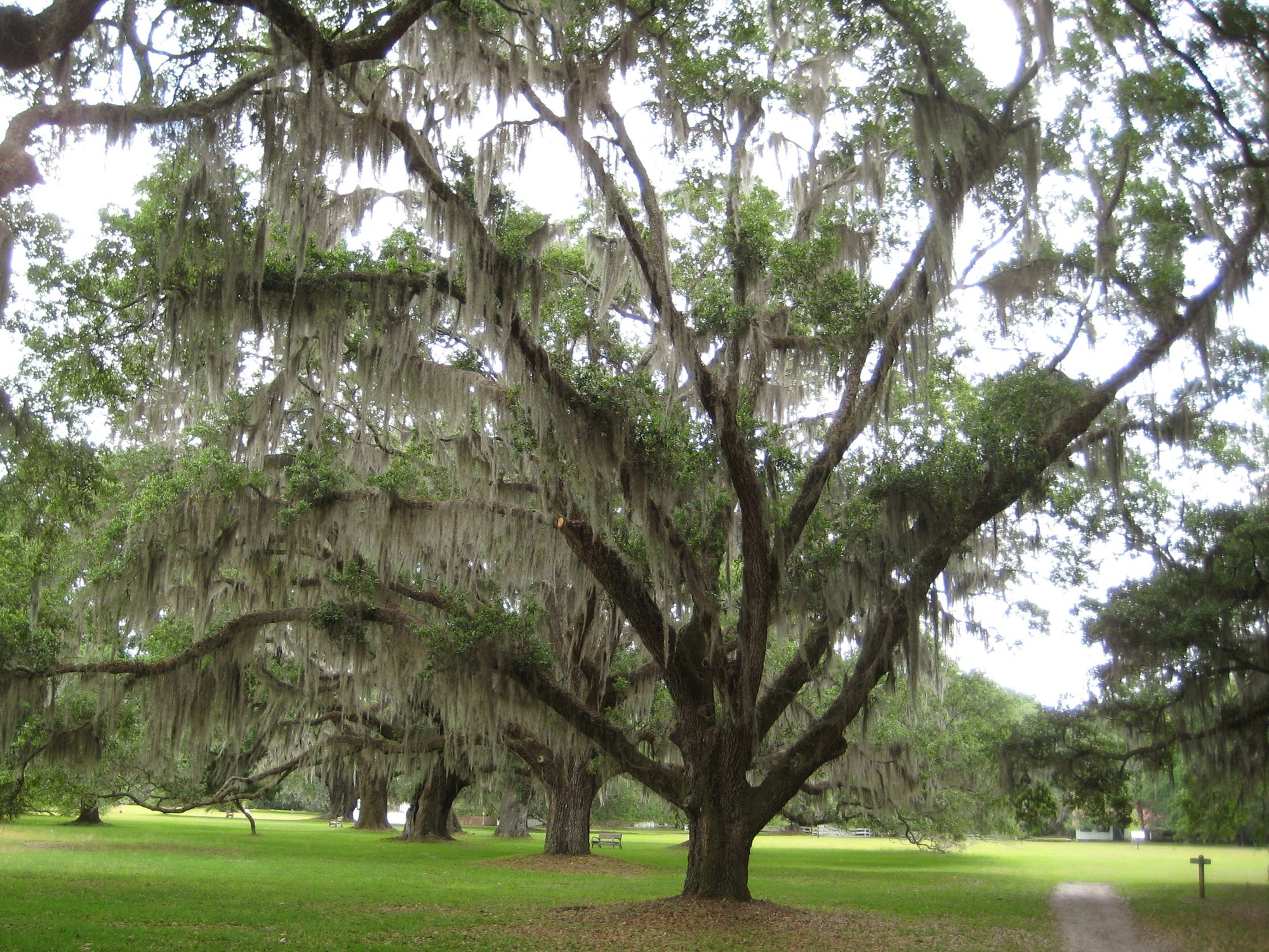 Day 8 Eulonia, GA Two Far 2019 Coasting Along to the Maritimes