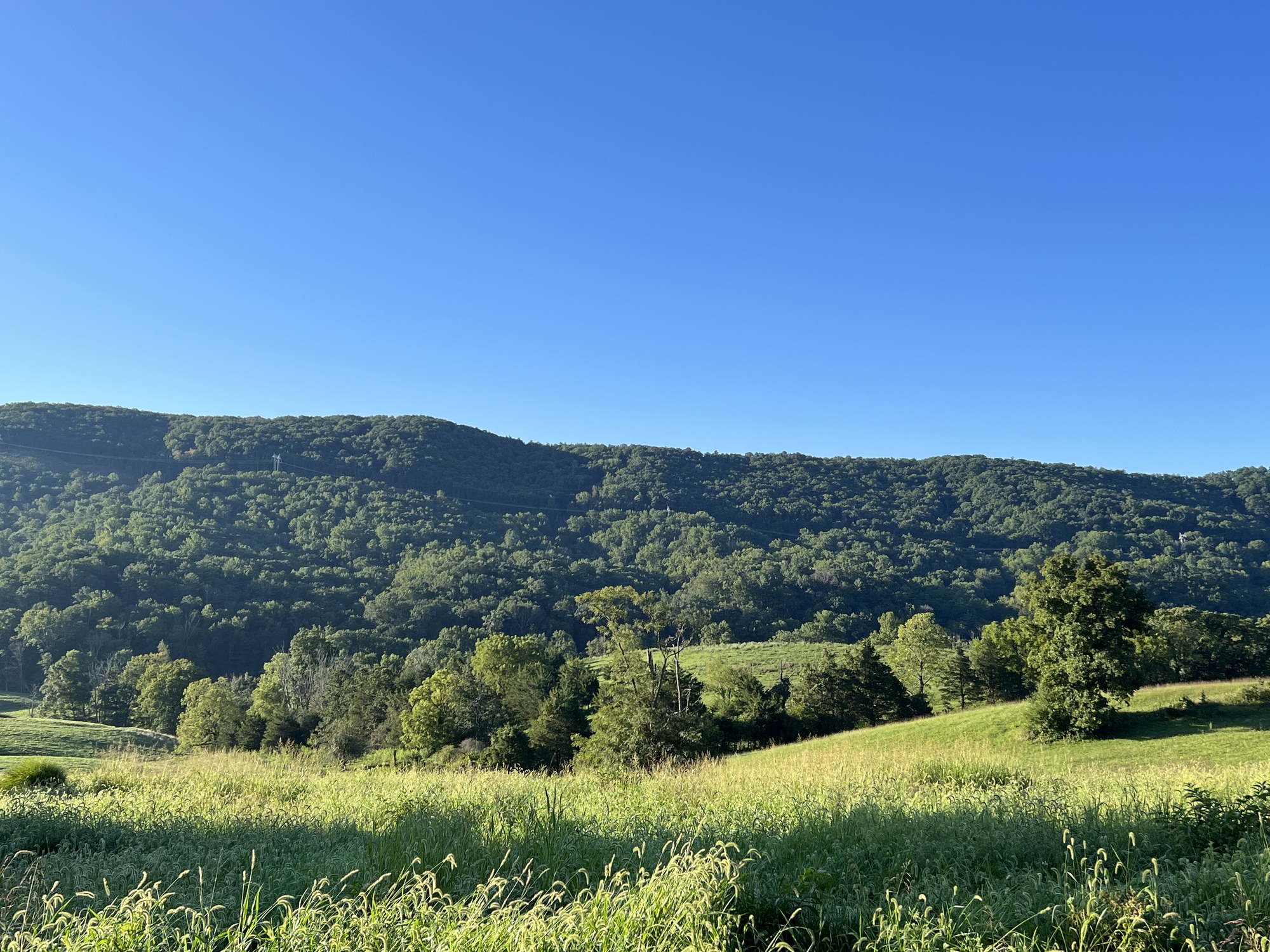 Today Must Be National “I Want To Do That” Day Powered by the Pedals