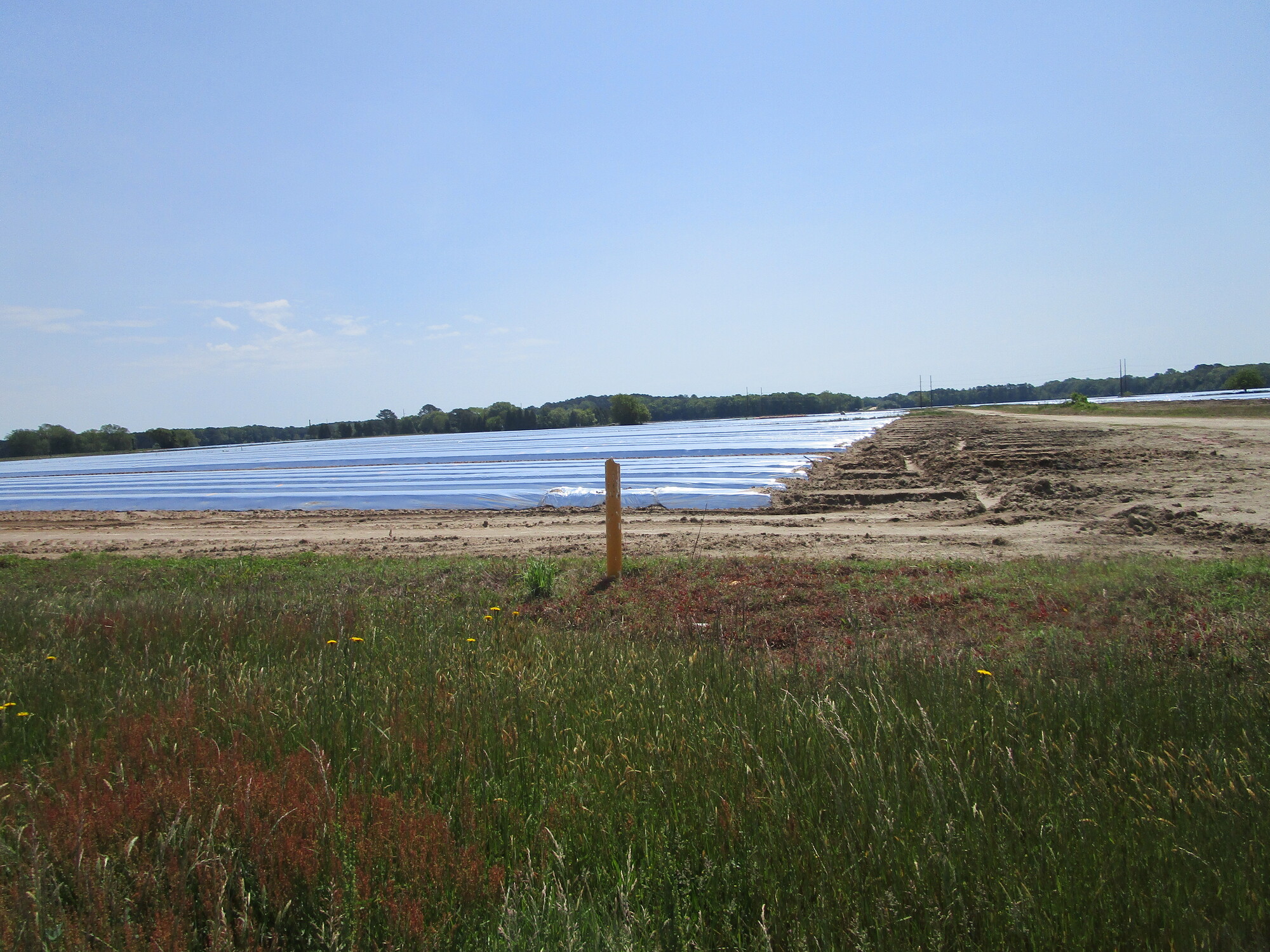 Day 023 Exmore, VA to City, MD Two Far 2023 Oranges to