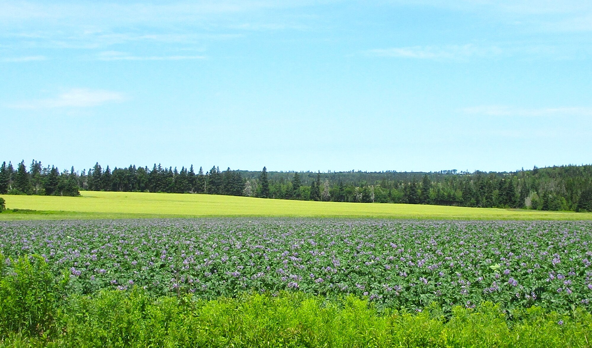 Day 96 Montague to Orwell Village Loop Two Far 2022 Reunion Bound