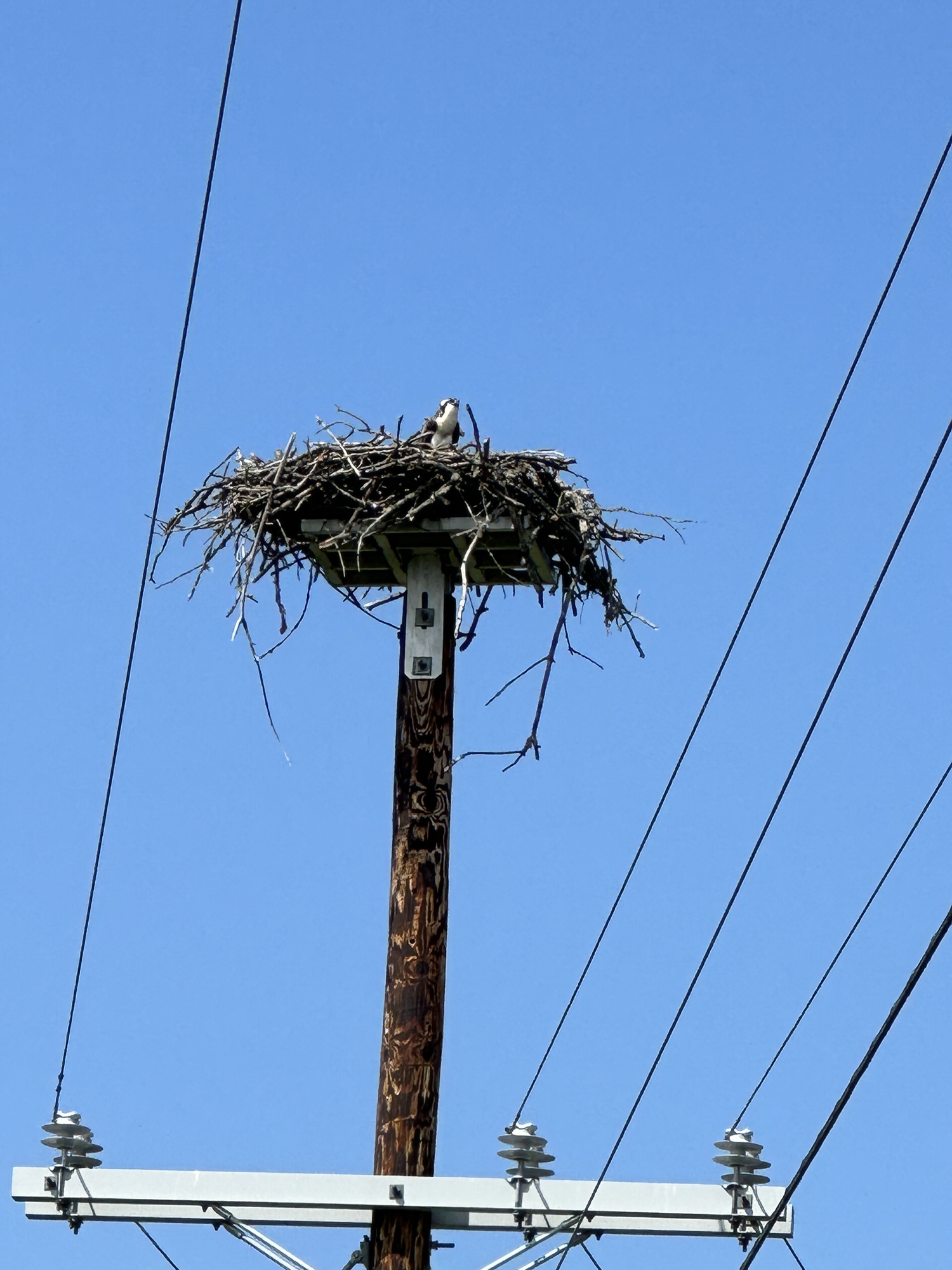Escanaba to Manistique Lake Michigan Circle Tour 2023 CycleBlaze