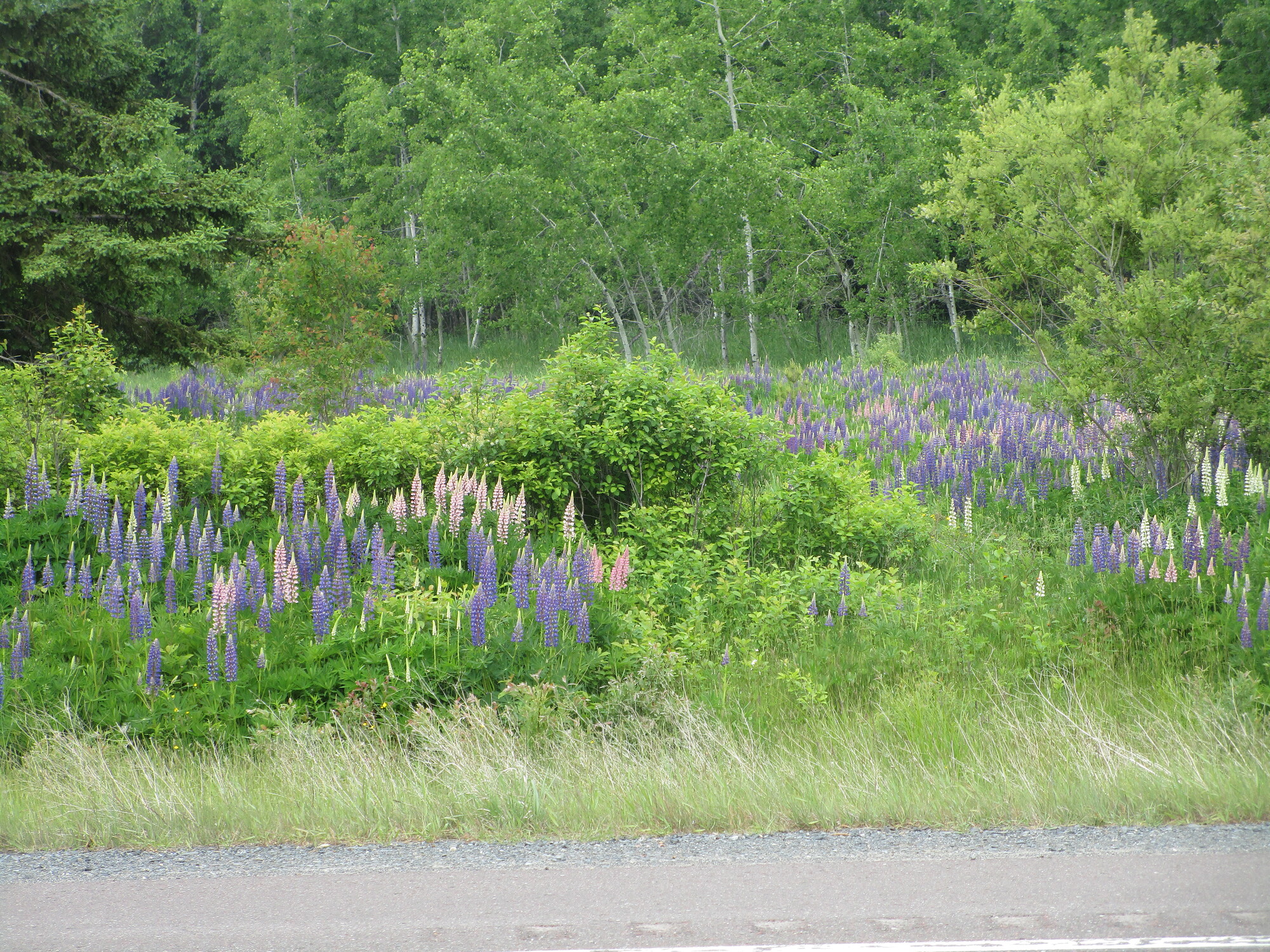 Day 065 L'Anse to Houghton Two Far 2023 Oranges to Apples