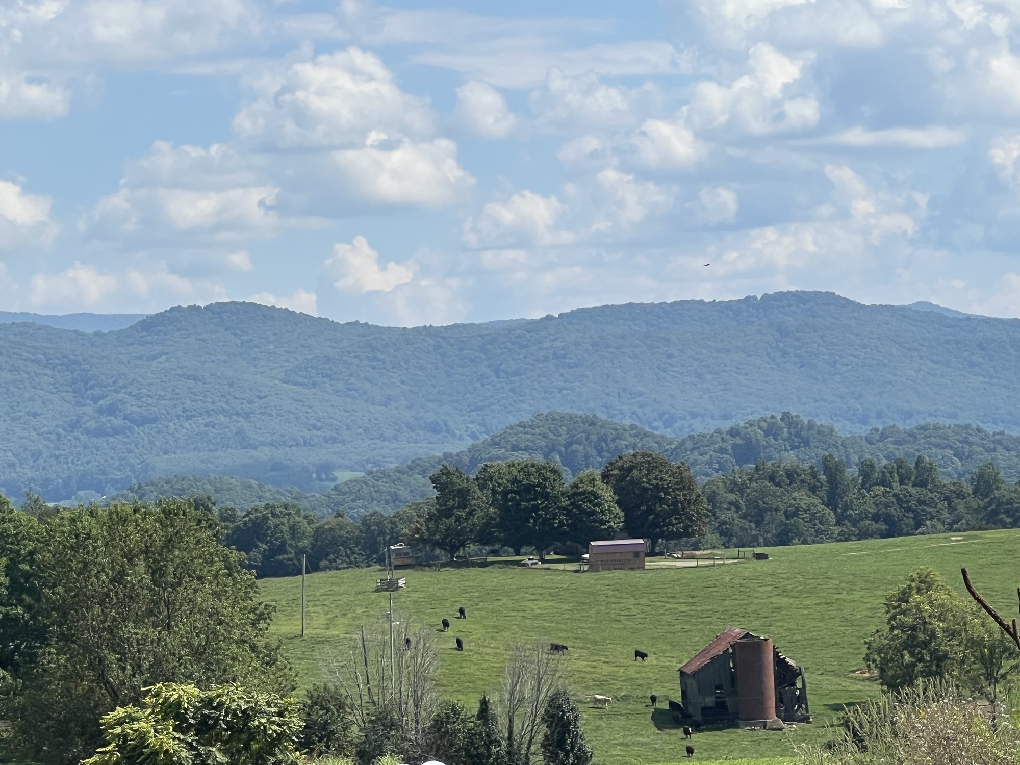 She Only Drinks Coffee At Midnight… Powered by the Pedals CycleBlaze