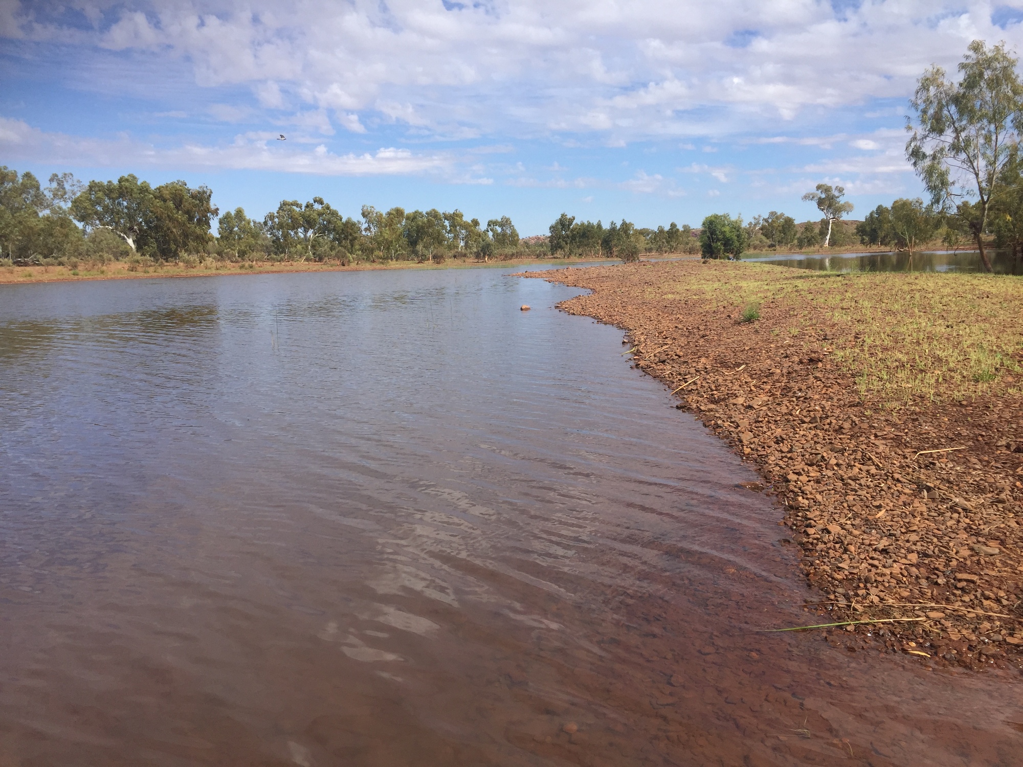 Day 44 Fortescue River to Cane River Katherine to Perth 2022