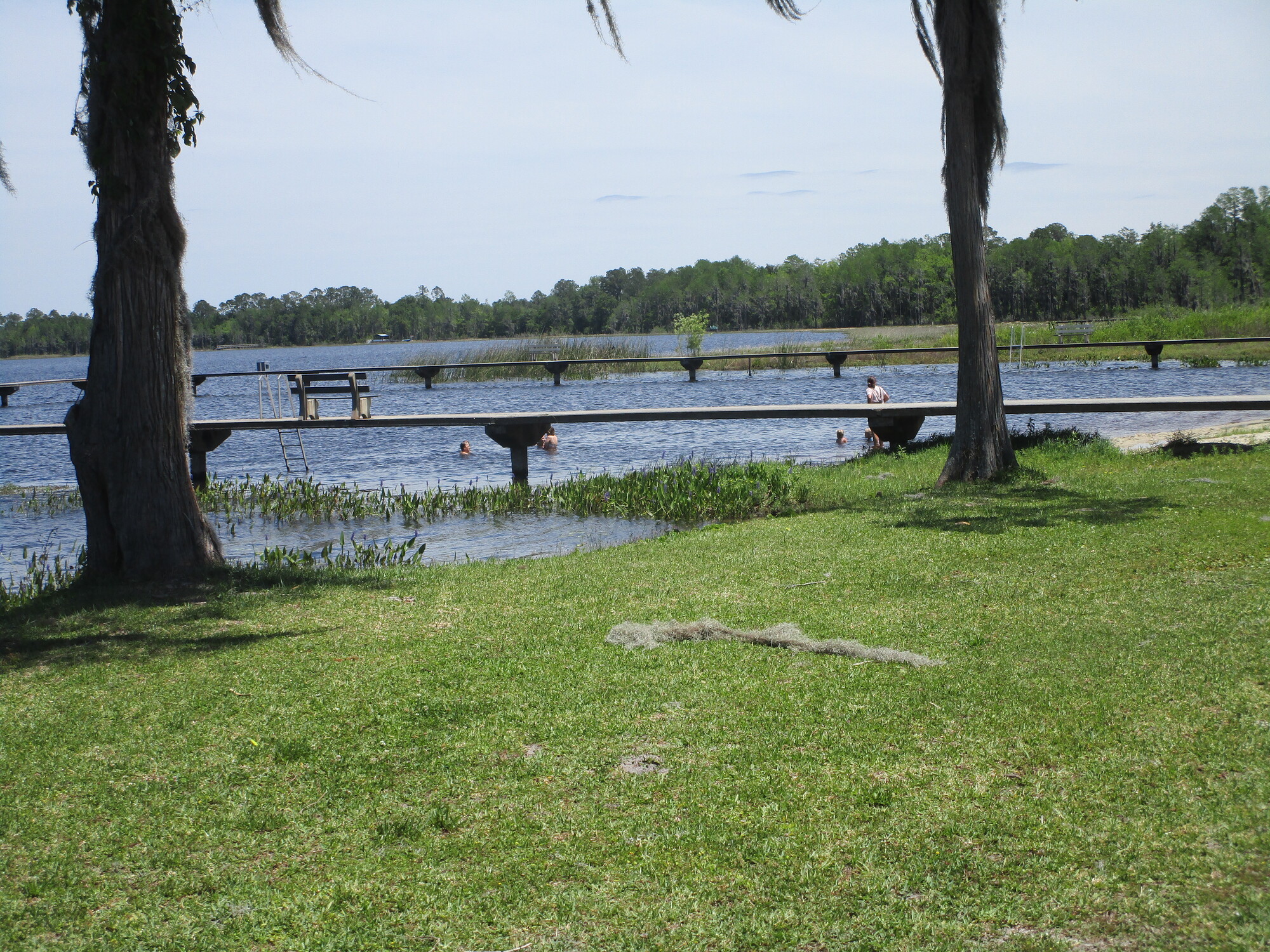 How Far Is Gainesville Fl From Orlando Fl - bpztvky