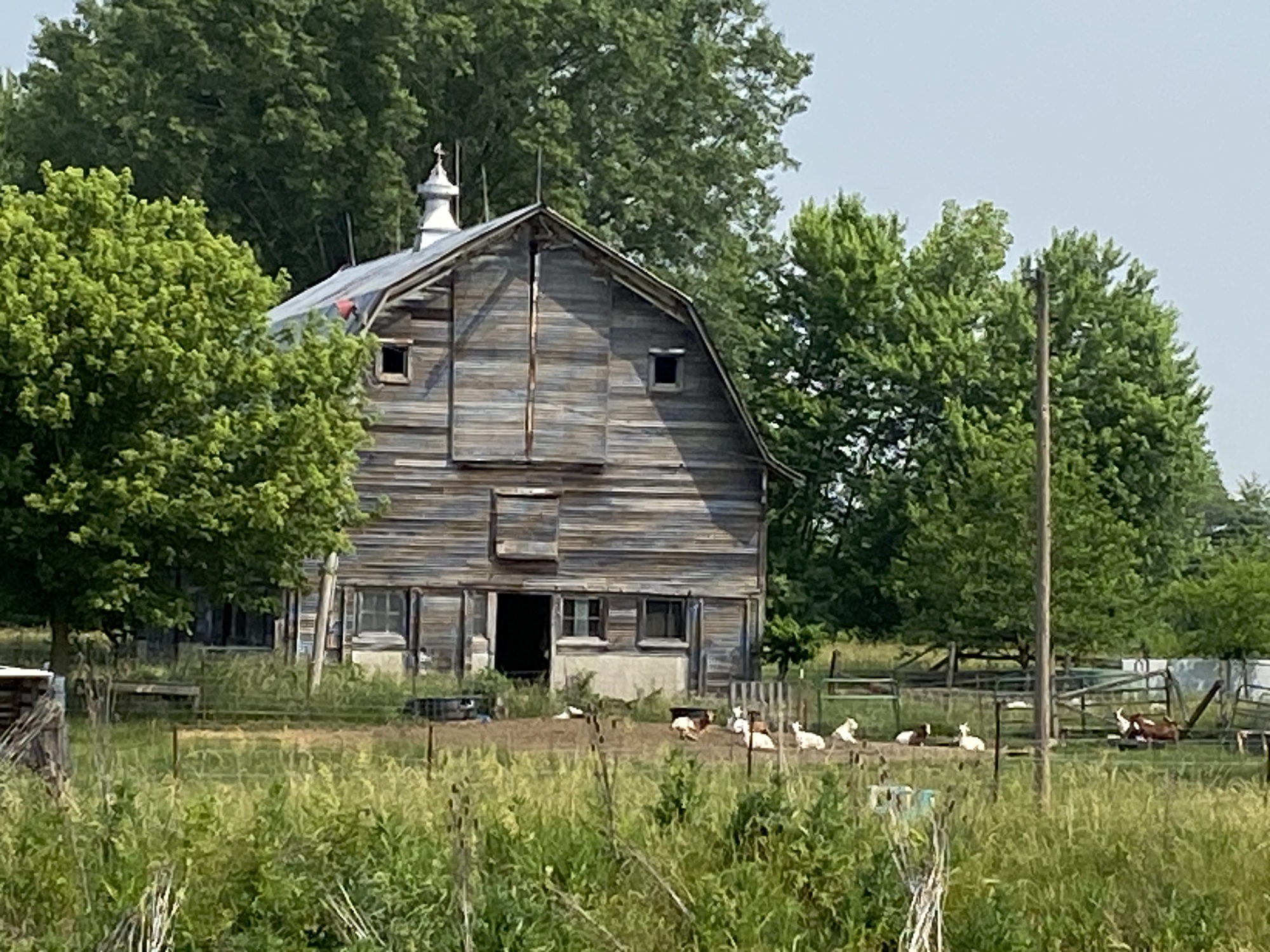 Day 26 Casey IL to Vandalia IL Still 8 years old in my brain CycleBlaze