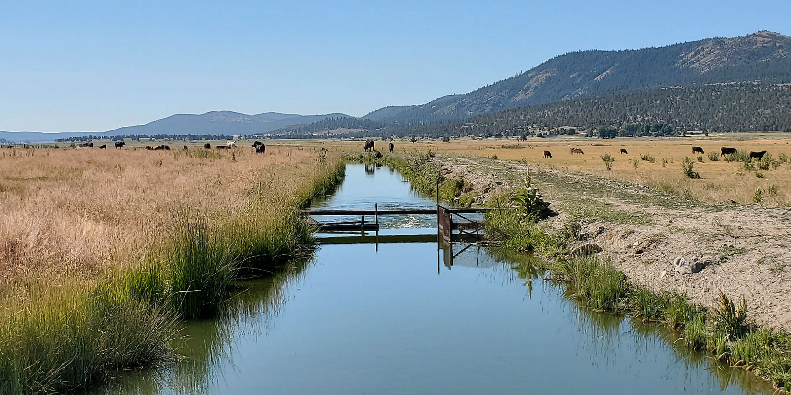 Day 4 Klamath Falls to Chiloquin via Bonanza, Sprague River The Lost