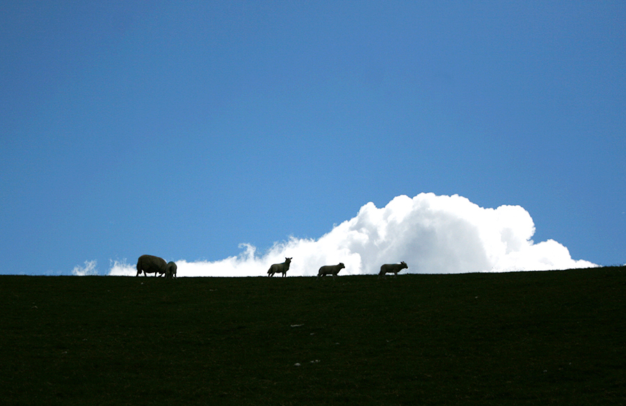 Llandovery to Builth Wells Words From Off The Sea CycleBlaze