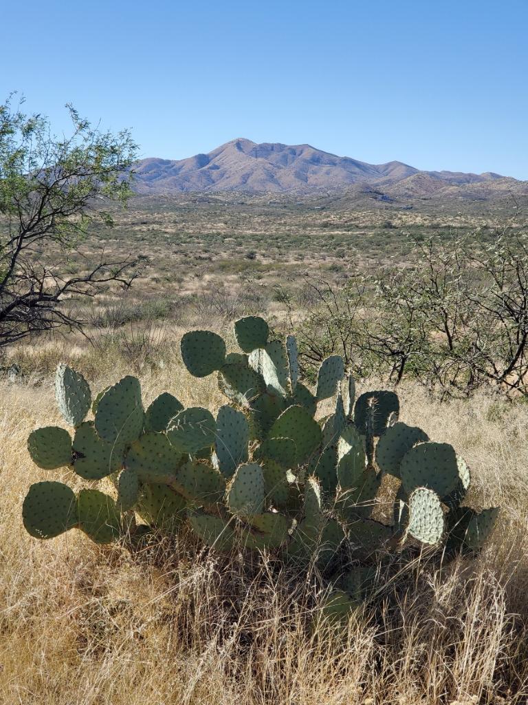 Sonoita Tucson airport I'm Happy To Be Here CycleBlaze