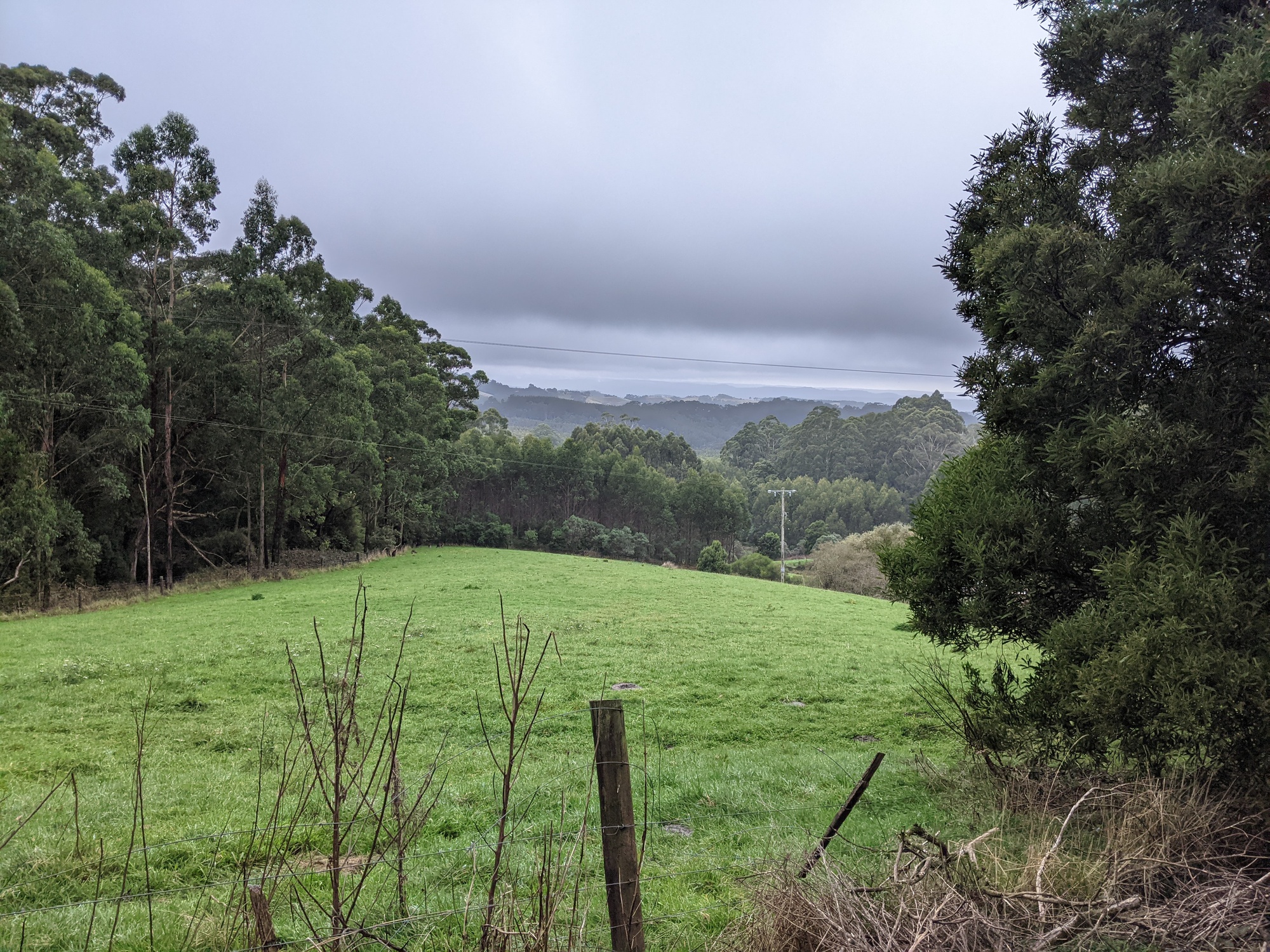 PrinceTown to Apollo Bay Adelaide to Geelong Tour CycleBlaze