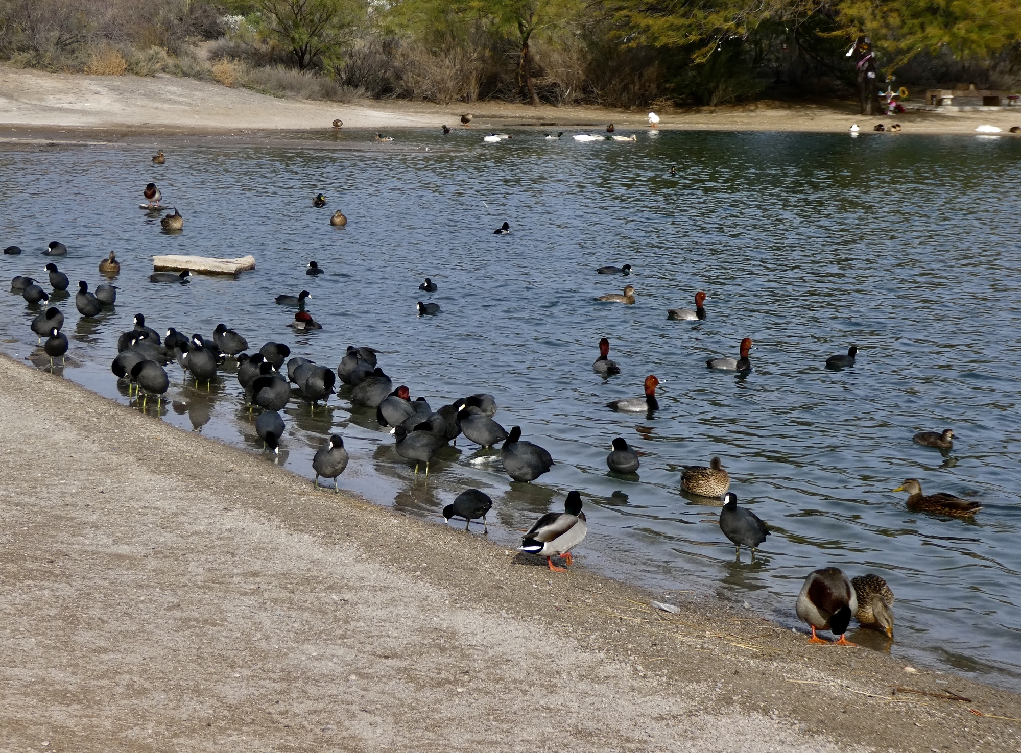 JFK Park Winterlude 2021 CycleBlaze