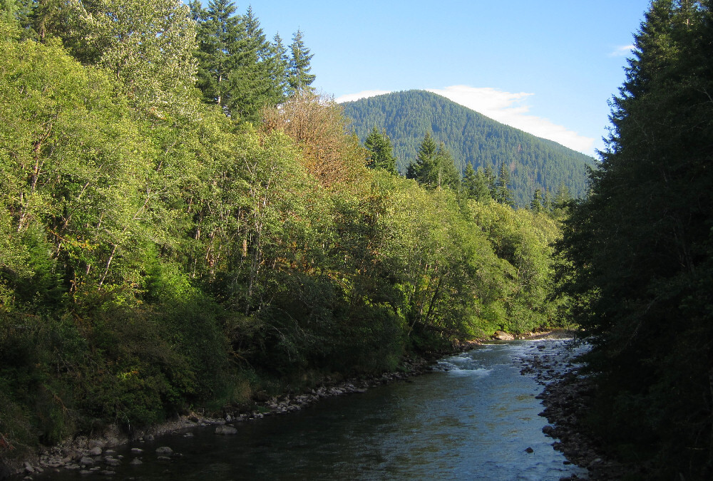 Day 18 Big Creek to Iron Creek campground Tour de Cascadia 2011