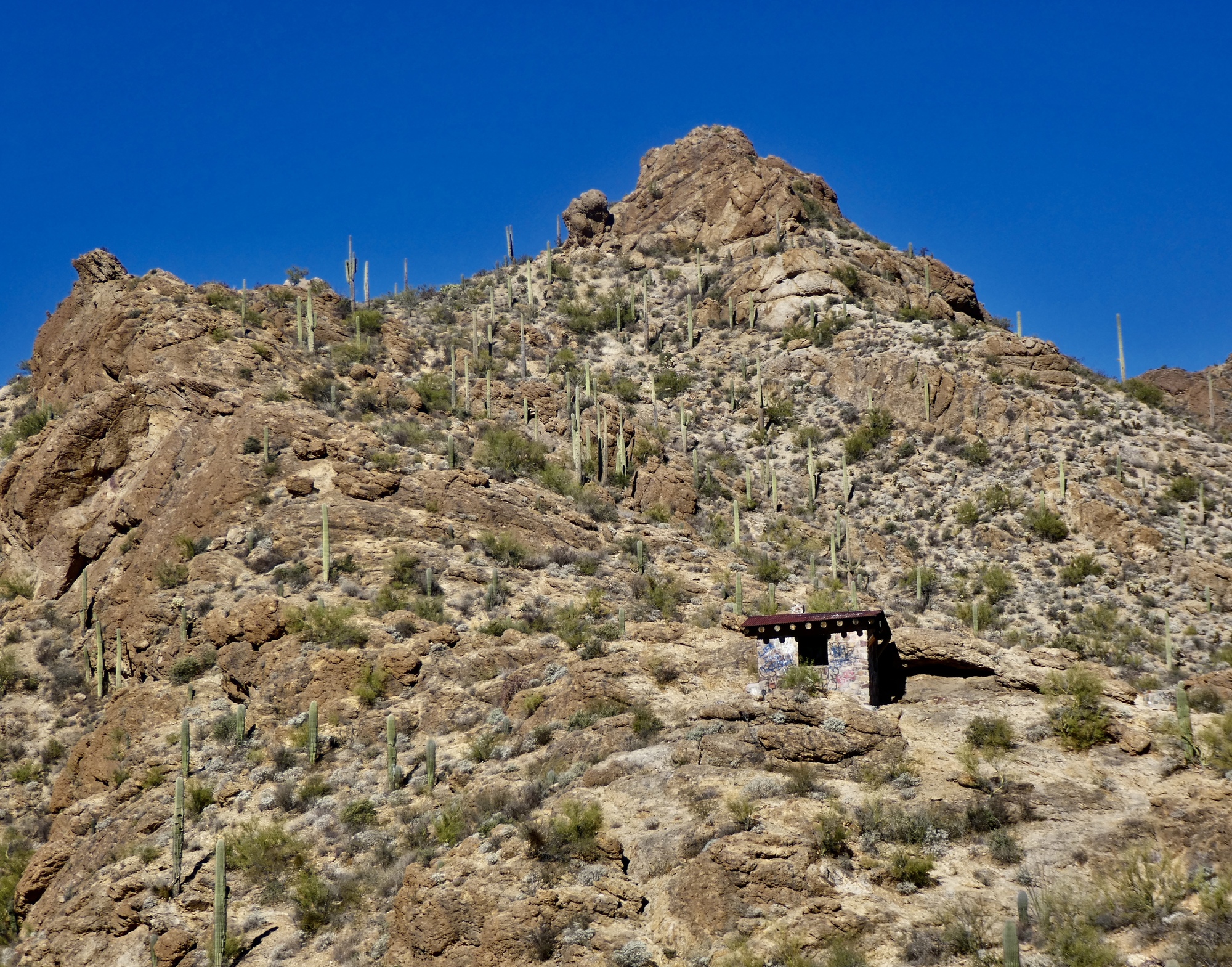 Gates Pass Winterlude 2021 CycleBlaze