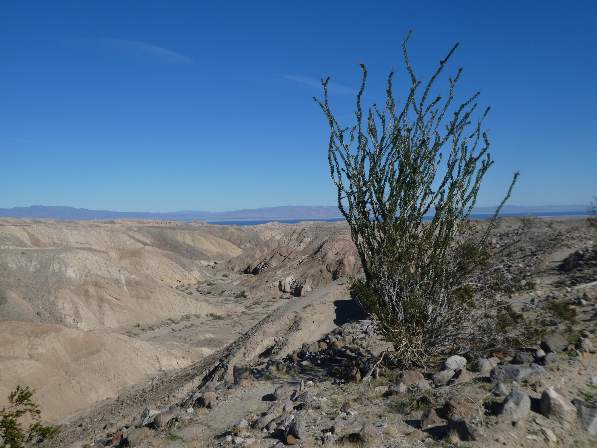 At Borrego Springs Salton Seaway Looking Back With 2020 Vision, Part I CycleBlaze