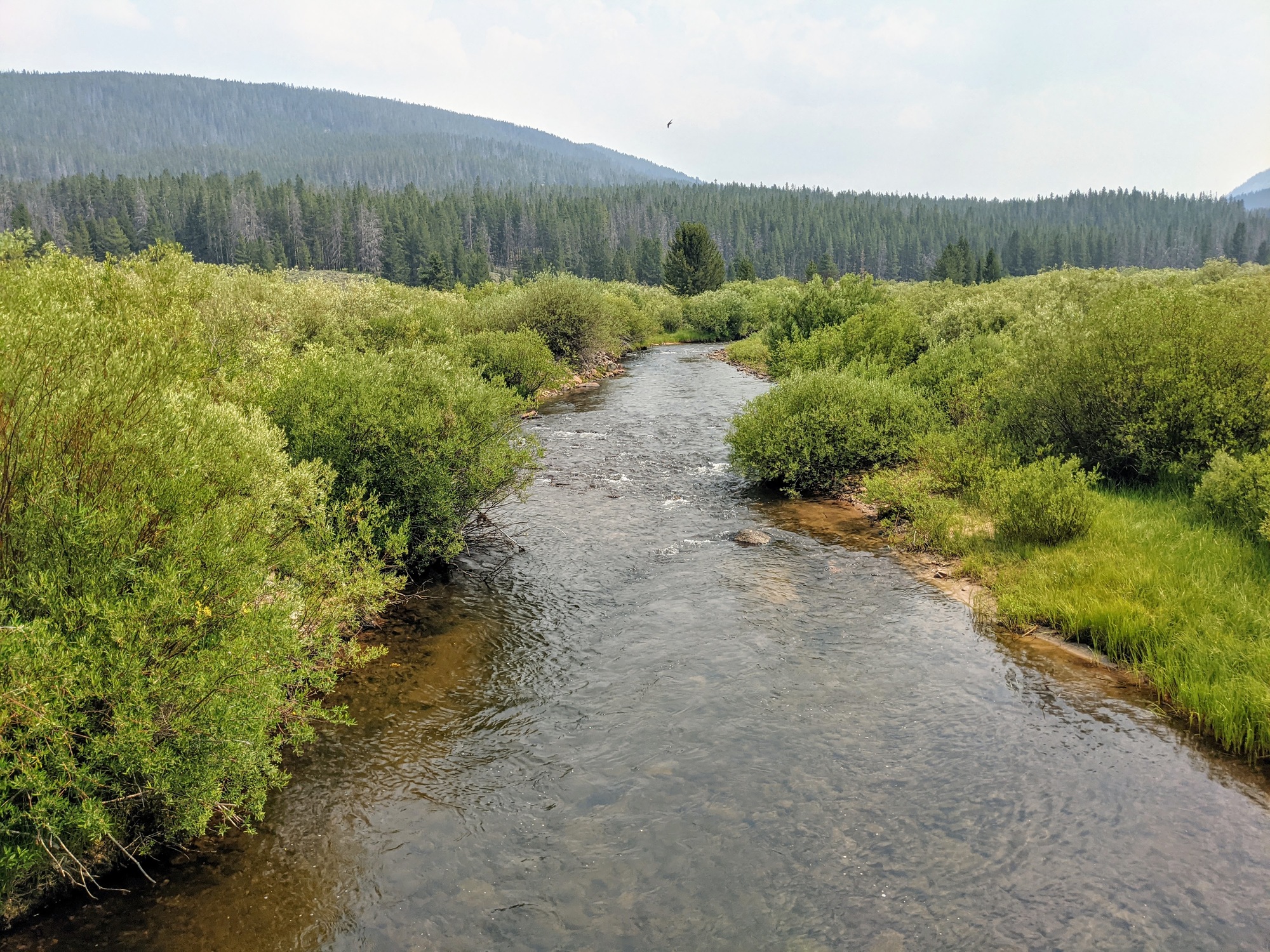 Day 46 Bannock State Park to Lodgepole NFS Campground Heat
