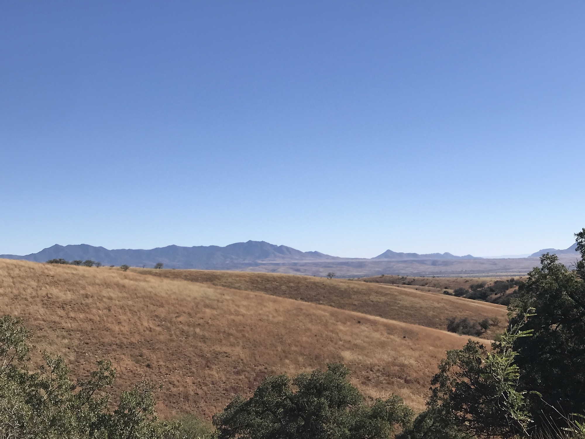 Sonoita Tucson airport I'm Happy To Be Here CycleBlaze