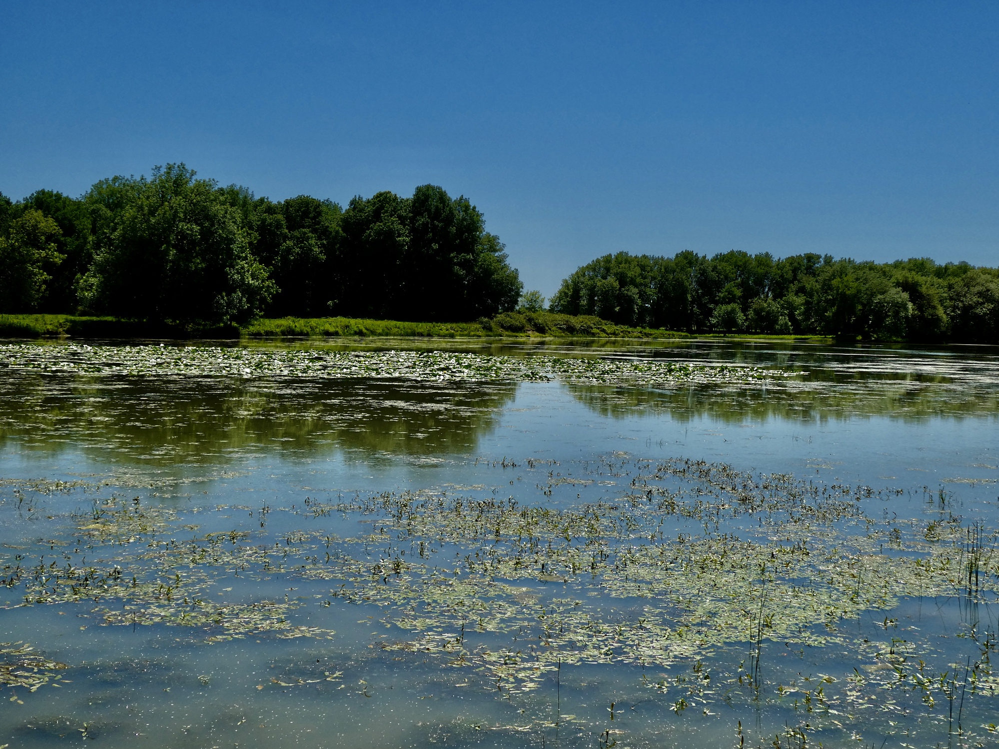 Mud Lake An American Summer, 2023 CycleBlaze