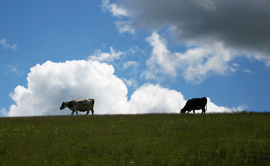 Llandovery to Builth Wells Words From Off The Sea CycleBlaze