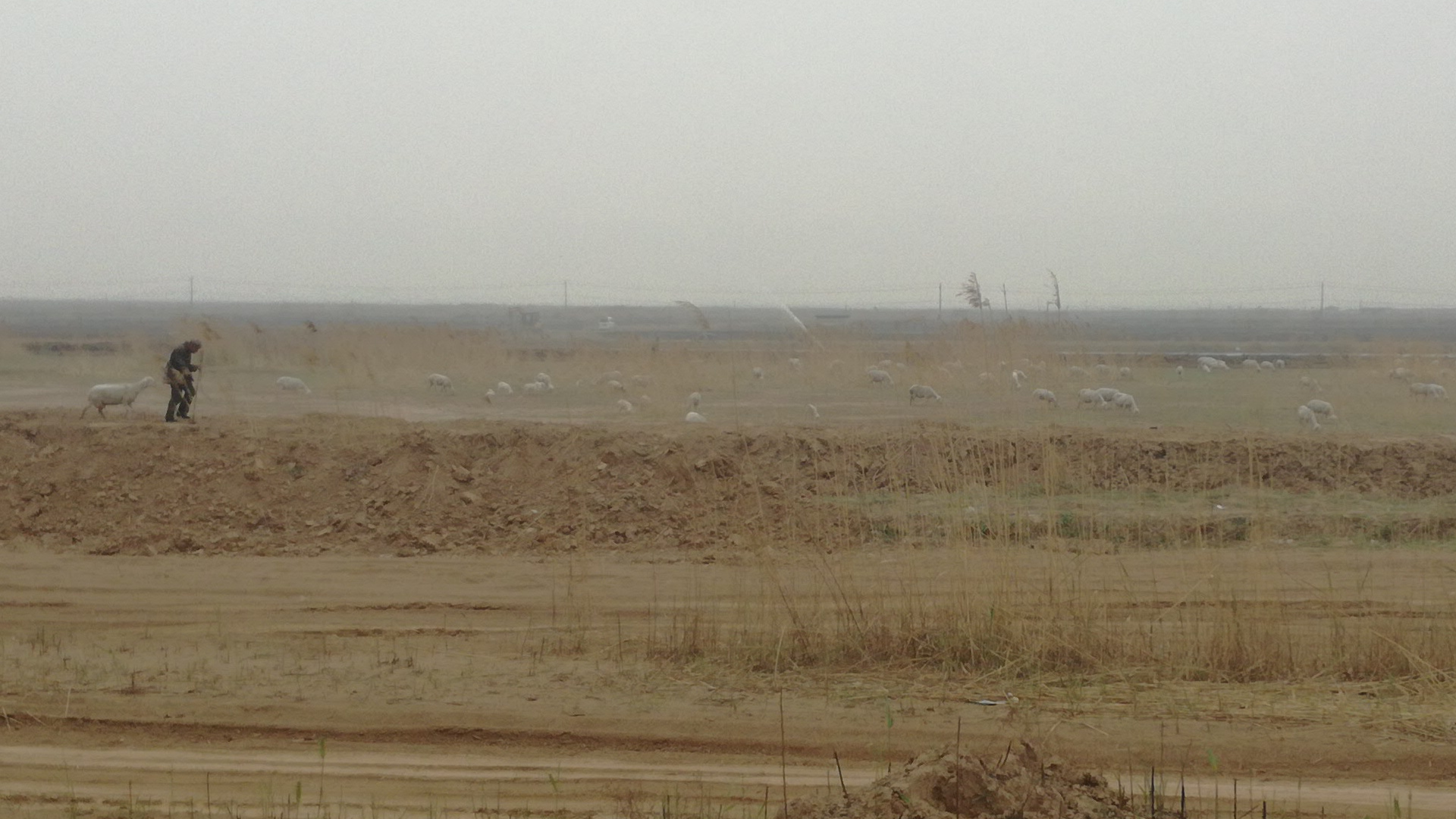 Yellow River flood plain 5,000 years of history CycleBlaze