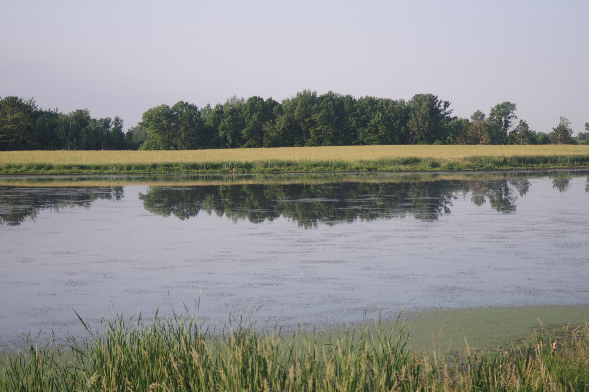 Day 43 Dalbo, MN to Bowlus, MN Seeking a Bicycle Warrior's Death