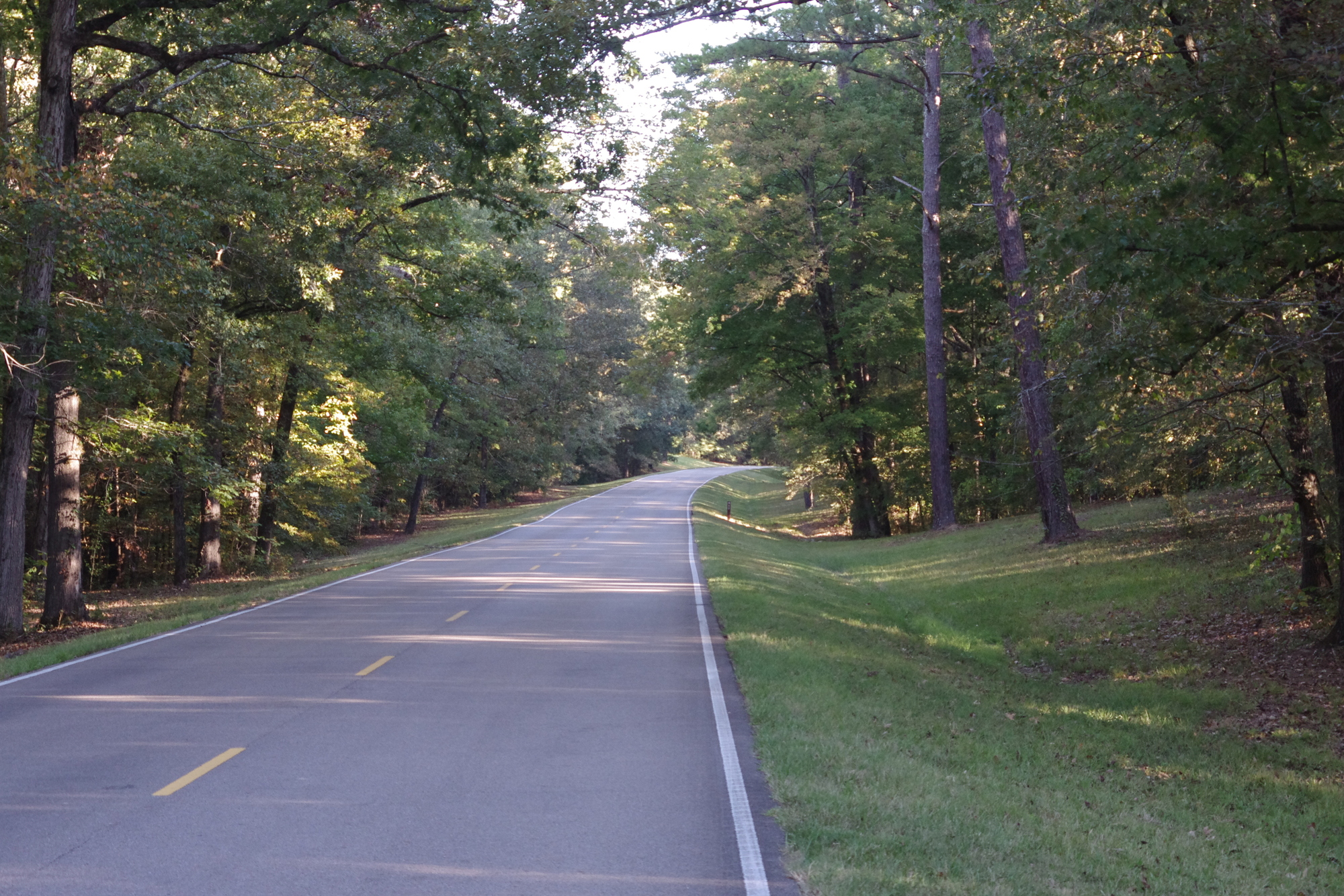 Day 10 Mathiston, MS (Mathiston Motel) to Tupelo, MS (Quality Inn) Seeking A Bicycle Warrior