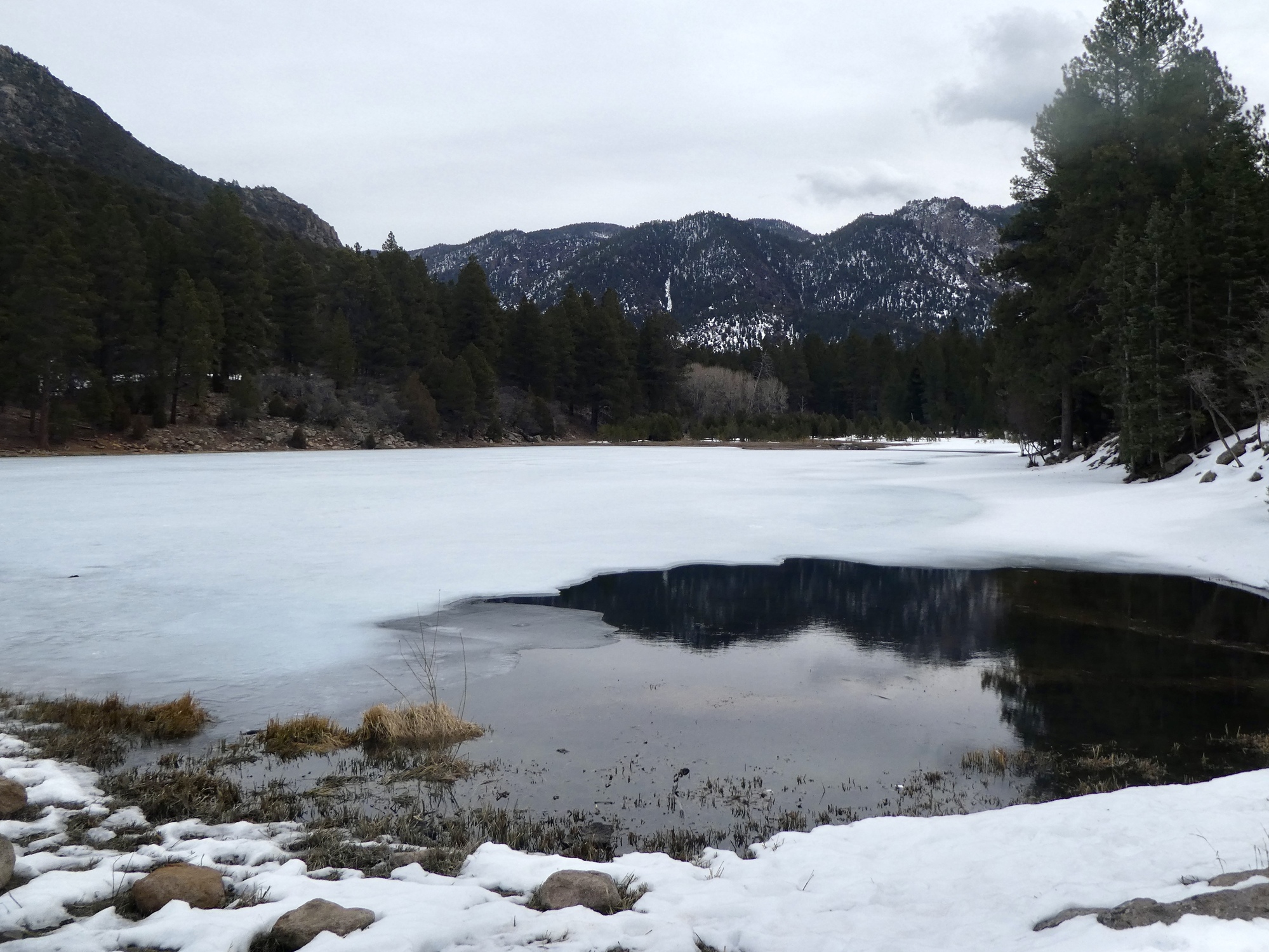 Pine Valley Winterlude 2020 CycleBlaze