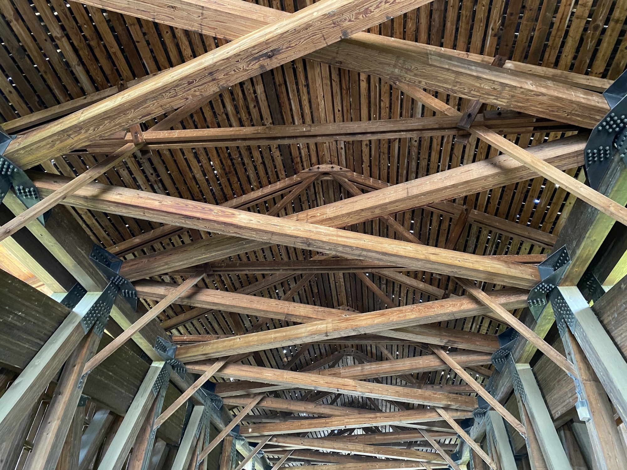 Day 26 Casey IL to Vandalia IL Still 8 years old in my brain CycleBlaze