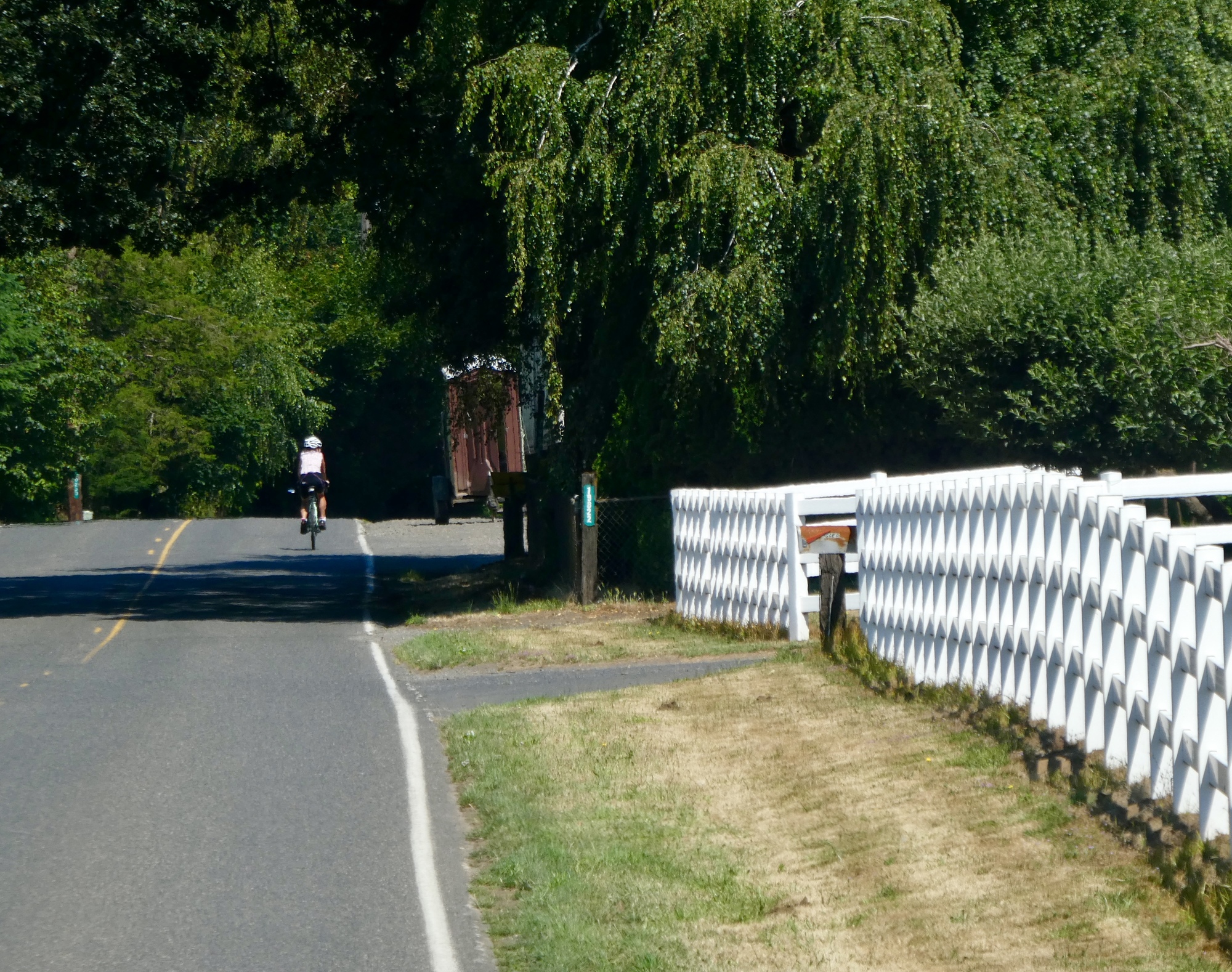 To Sauvie Island and back WITH NO FLAT TIRES! Northwest Passages