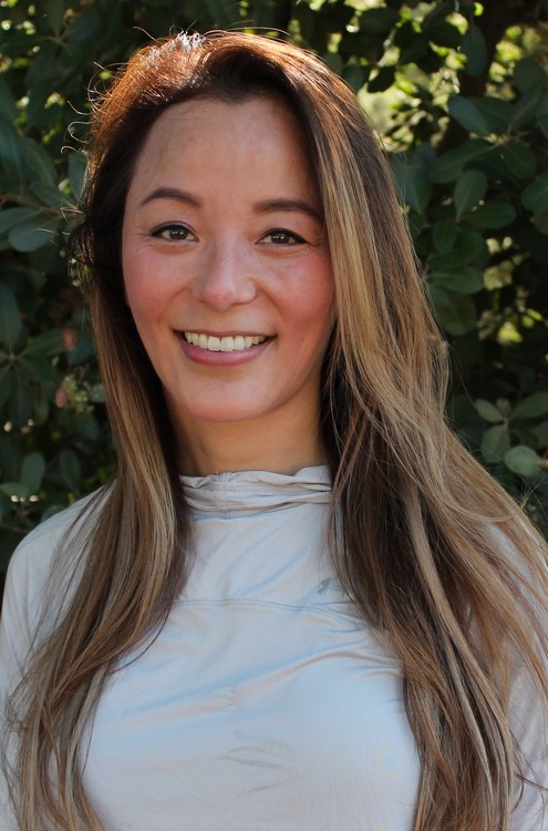 Persistent and Prepared