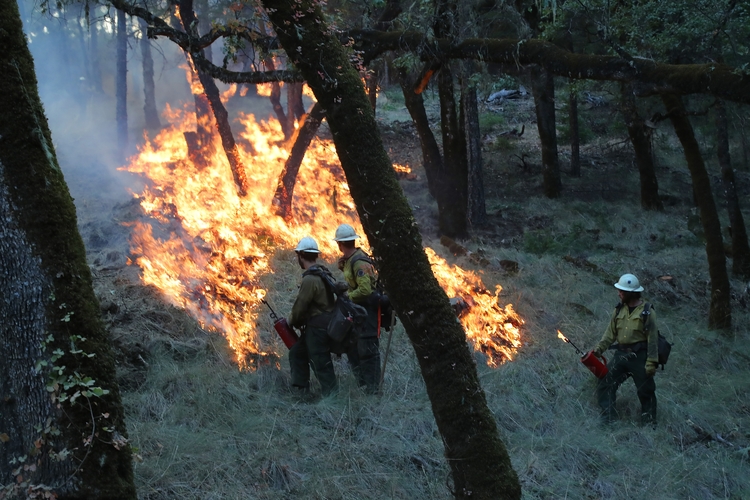 Firefighters’ ire boosts chances of state net neutrality bill