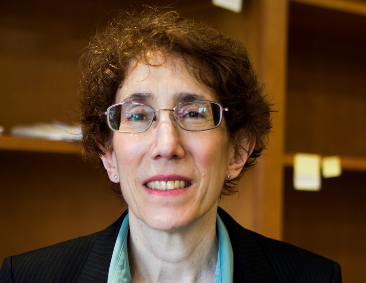 Split 9th Circuit panel upholds Arizona voter fraud laws