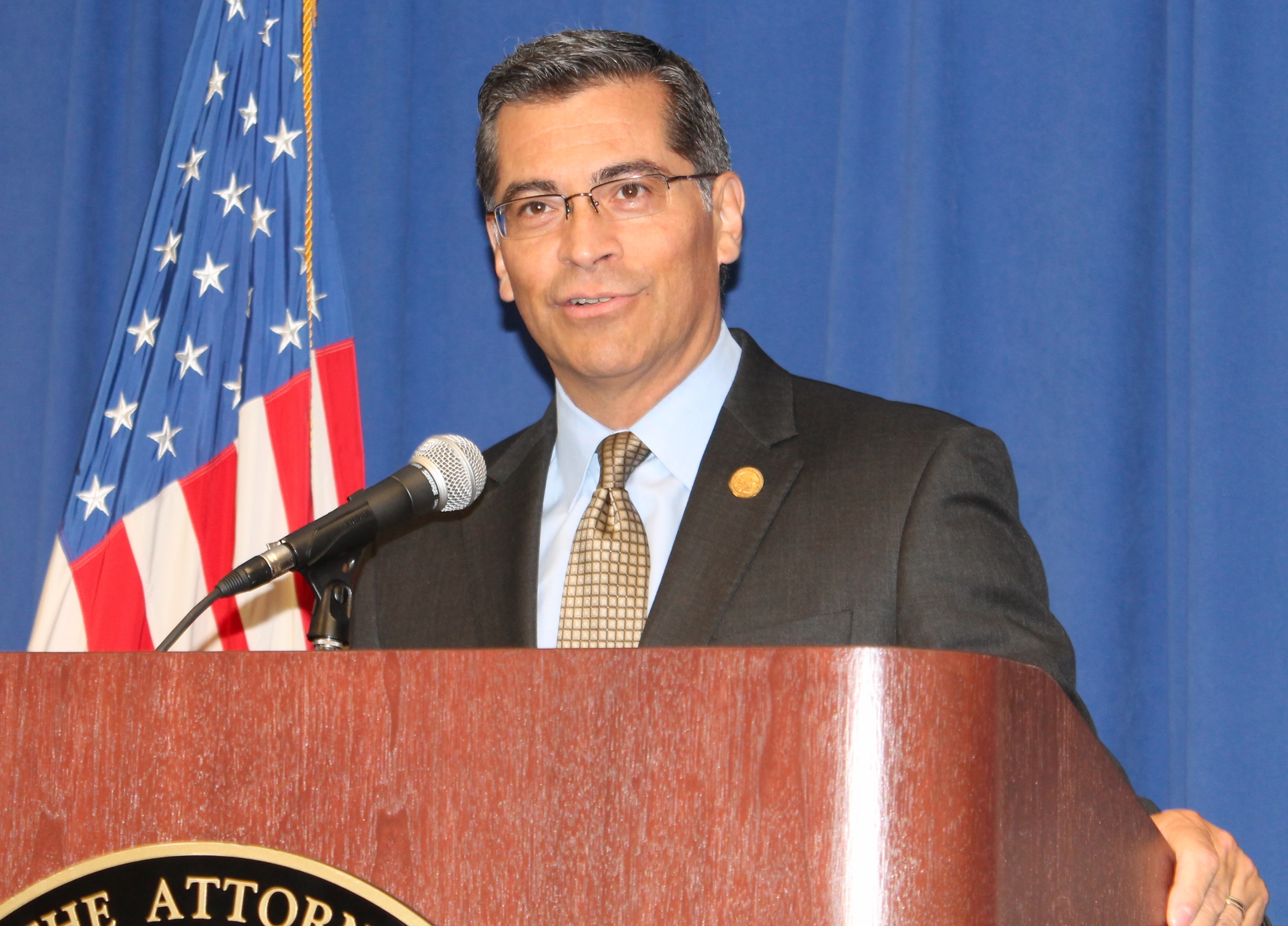 Amici curae ask court to guide Legislature in considering bail