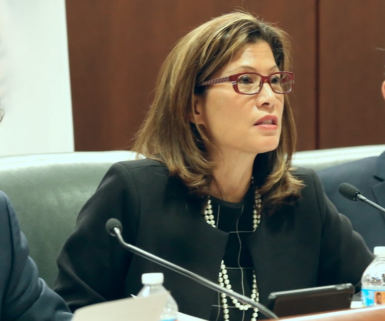 Chief justice defends judicial challenges and efforts to fight them