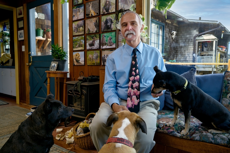 Animal law specialties edge into mainstream