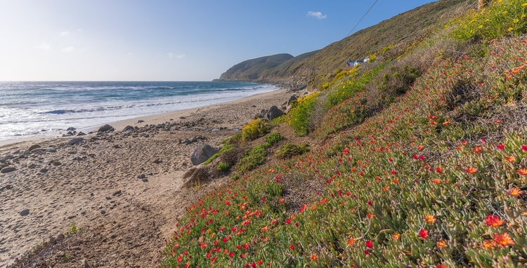 Sheppard Mullin crafted complicated deal to form nature preserve near Malibu