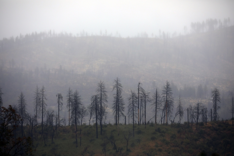 Environmentalists says Butte County project violates CEQA