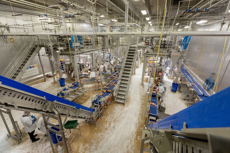 LA poultry processors employ child workers, Labor Department says