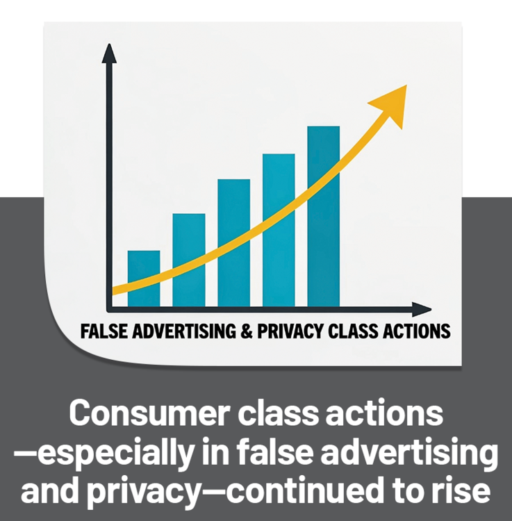 Consumer class actions - especially in false advertising and privacy - continued to rise 	