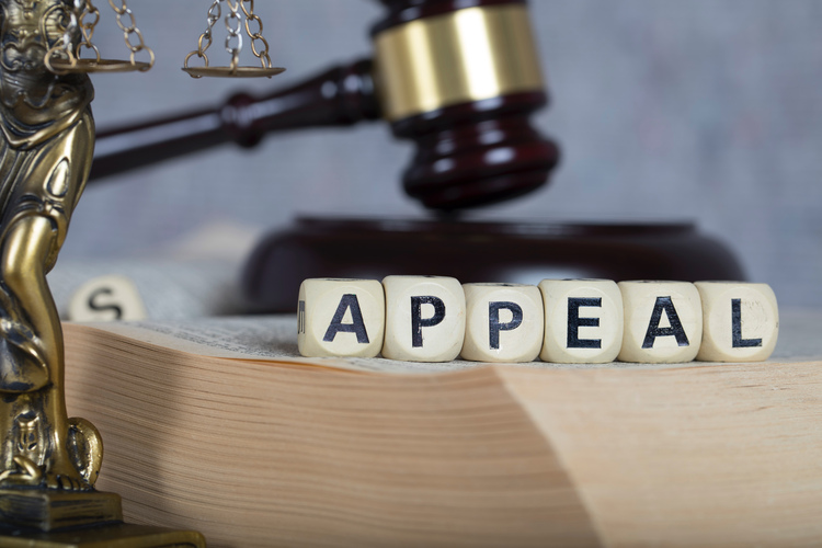 Motions matter in the court of appeal too, so here are 10 tips