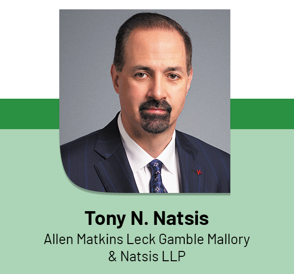 Tony N. Natsis