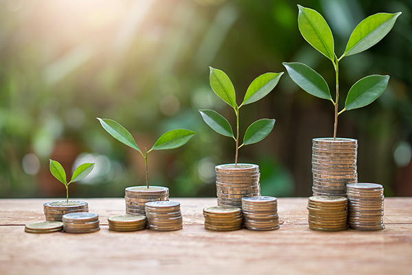 Boutiques in bloom: Why big law needs small firms - and small firms need big vision