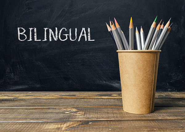 Bilingual mediation: More than words