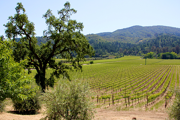 Rethinking subsidies for California farms