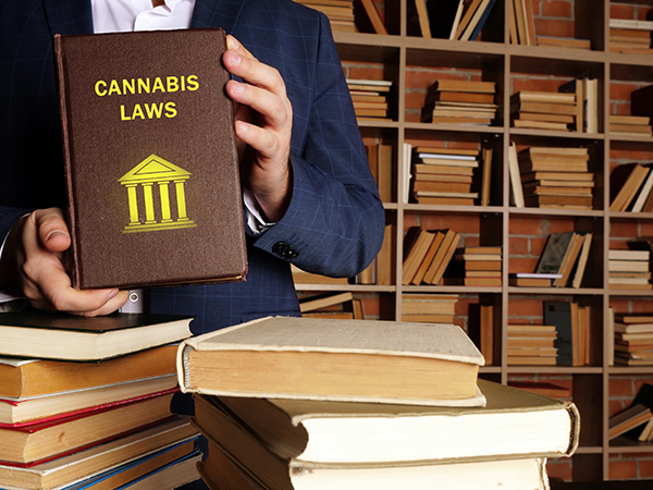 The cannabis laws of the 2025 California legislative session