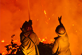 Eaton and Palisades Fire litigation strained courts in 2025