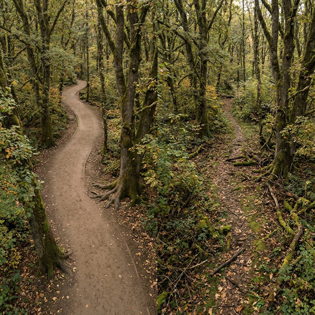 Do you know your brief?