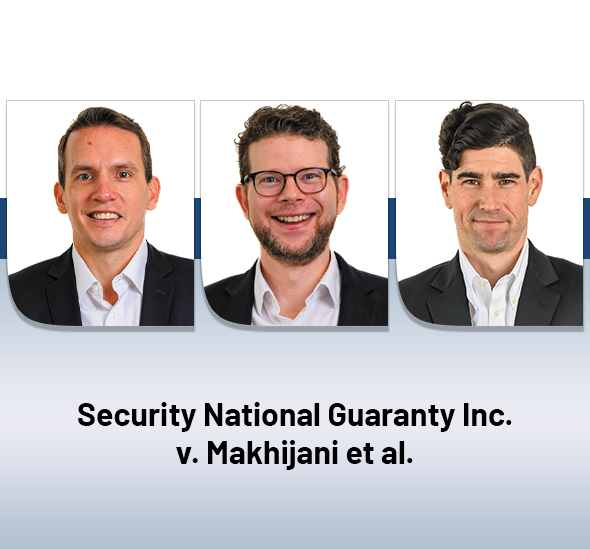 Security National Guaranty Inc. v. Makhijani et al.